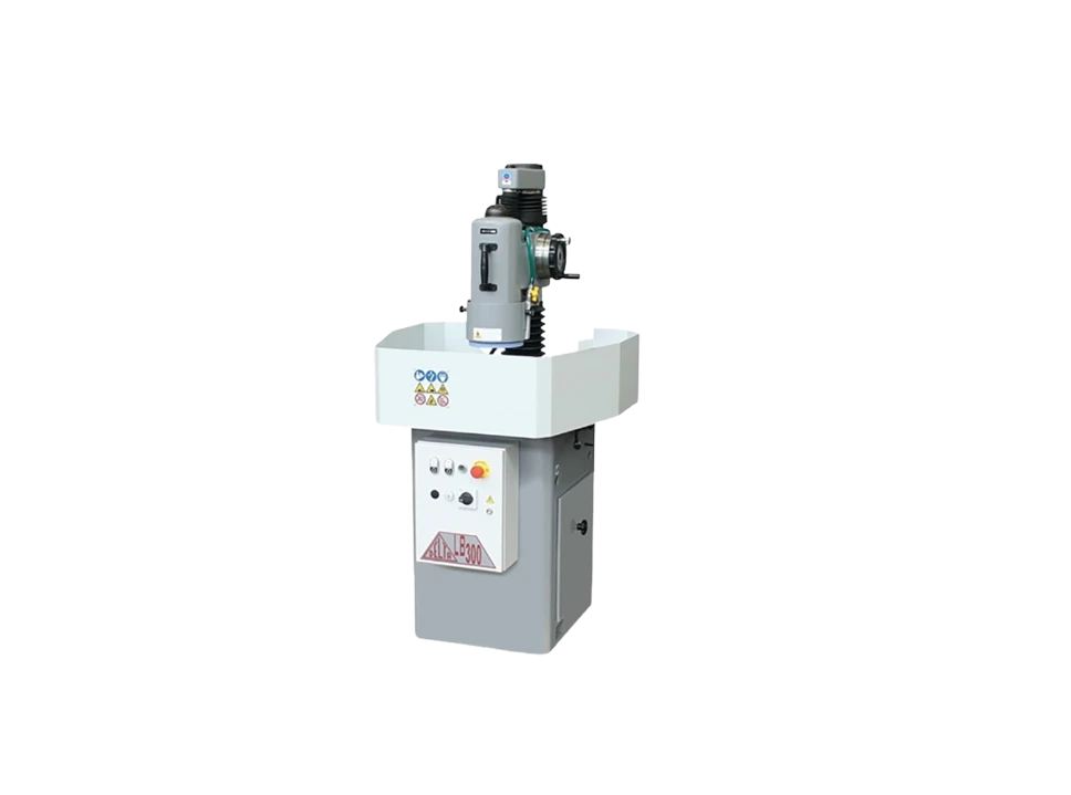 Pendelschleifmaschine Delta ELLE (LB300 (fester Tisch))